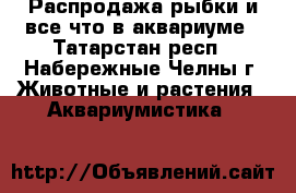  Распродажа рыбки и все что в аквариуме - Татарстан респ., Набережные Челны г. Животные и растения » Аквариумистика   